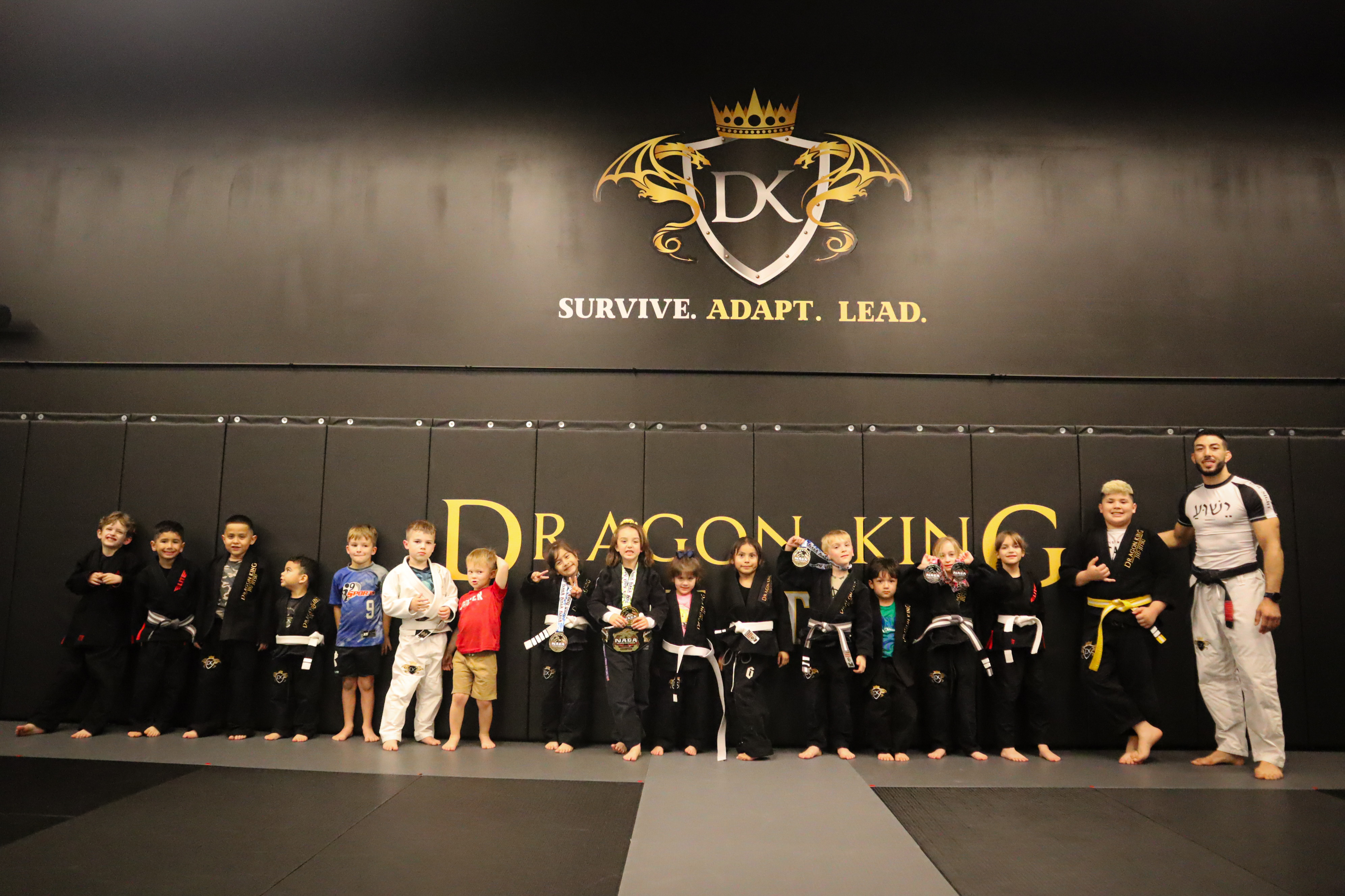 Mini dragons full class