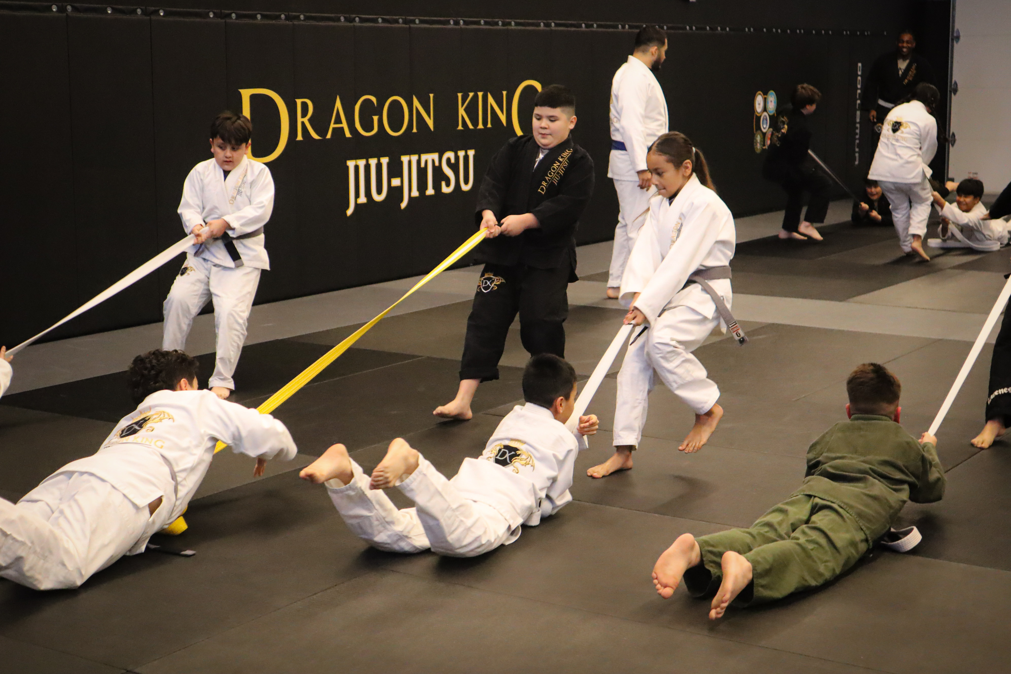 Young dragons class