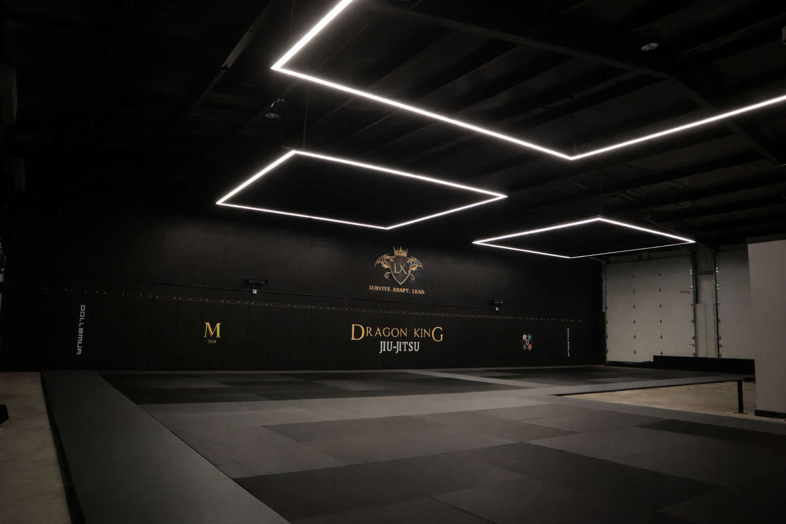 Dragon King gym