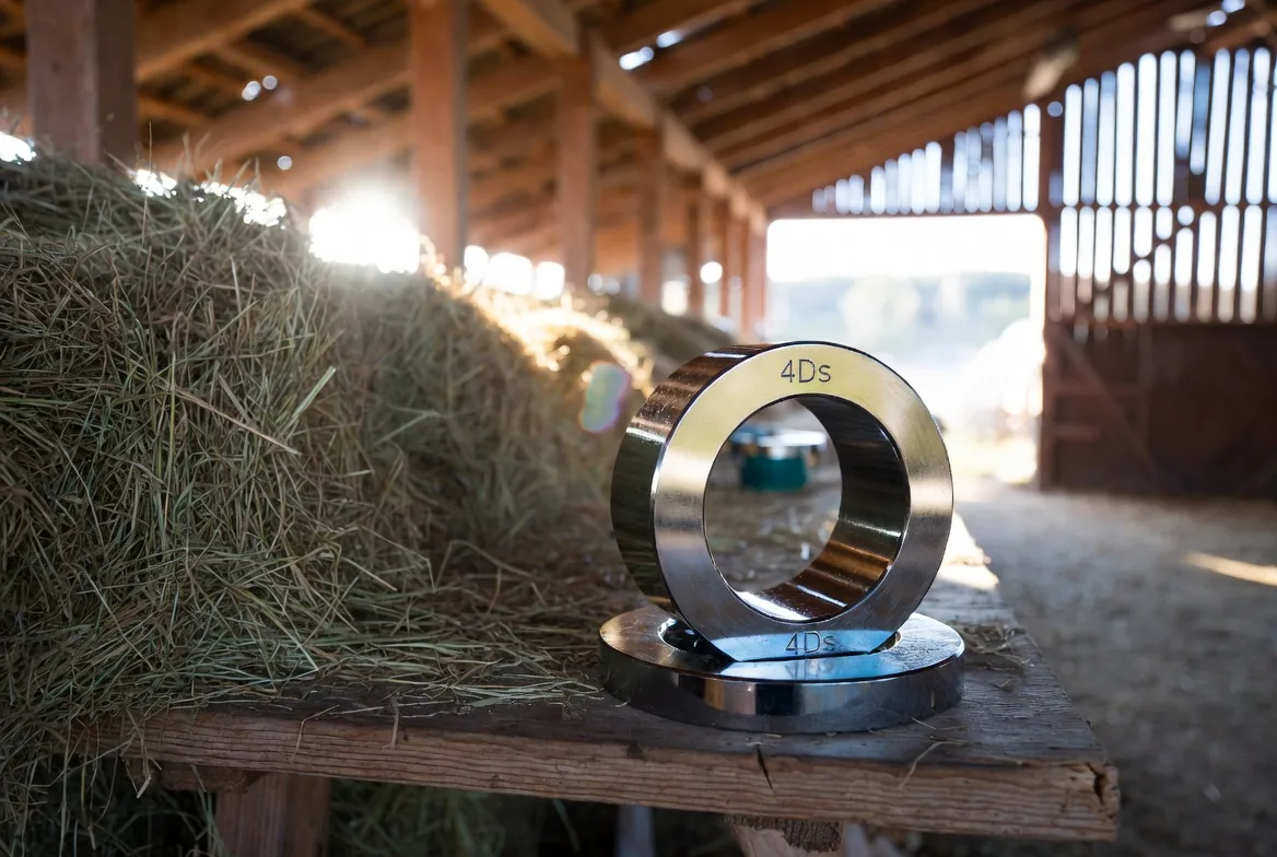 “Don't do anything dumb, dangerous, or different!”