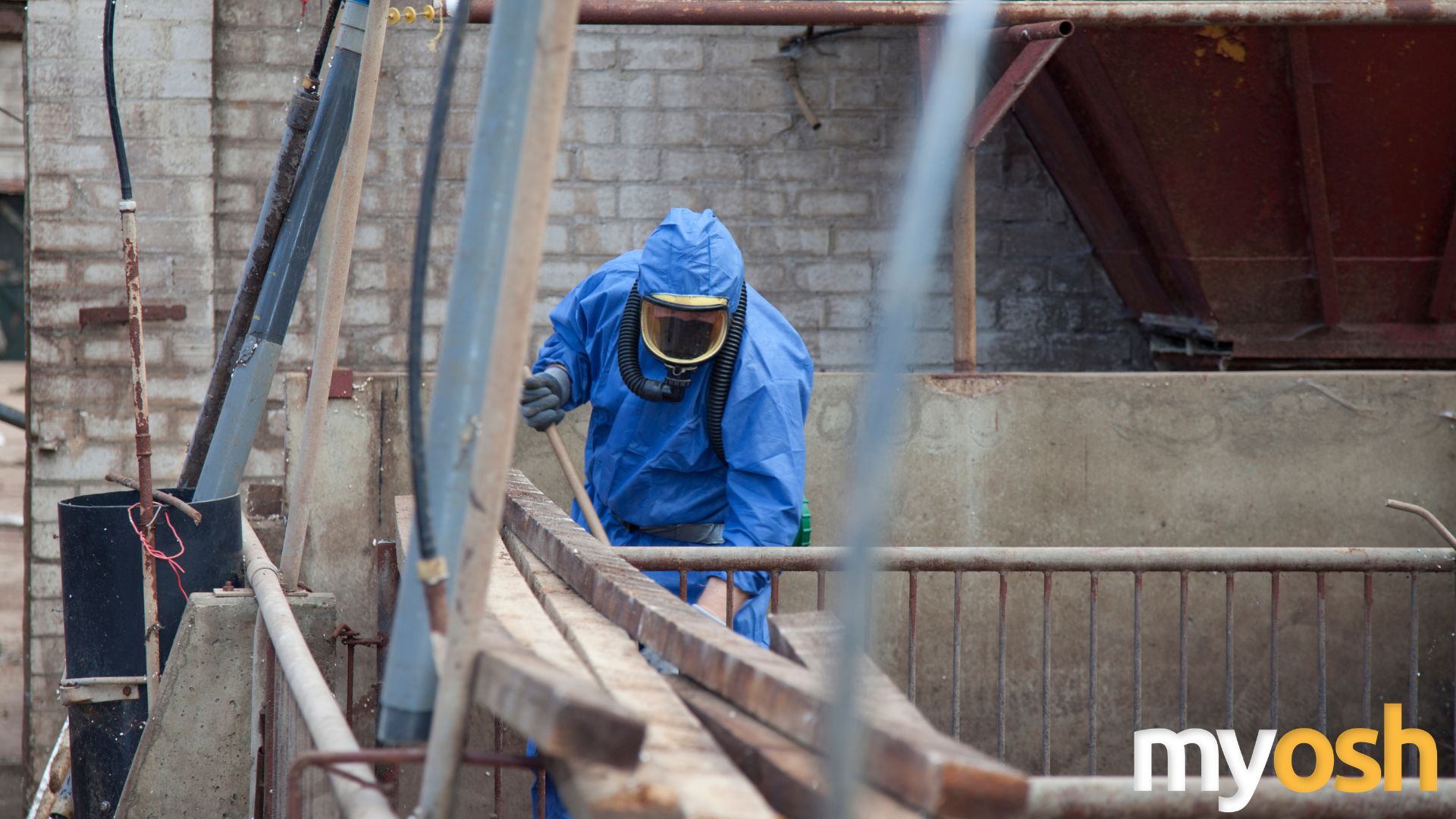 asbestos