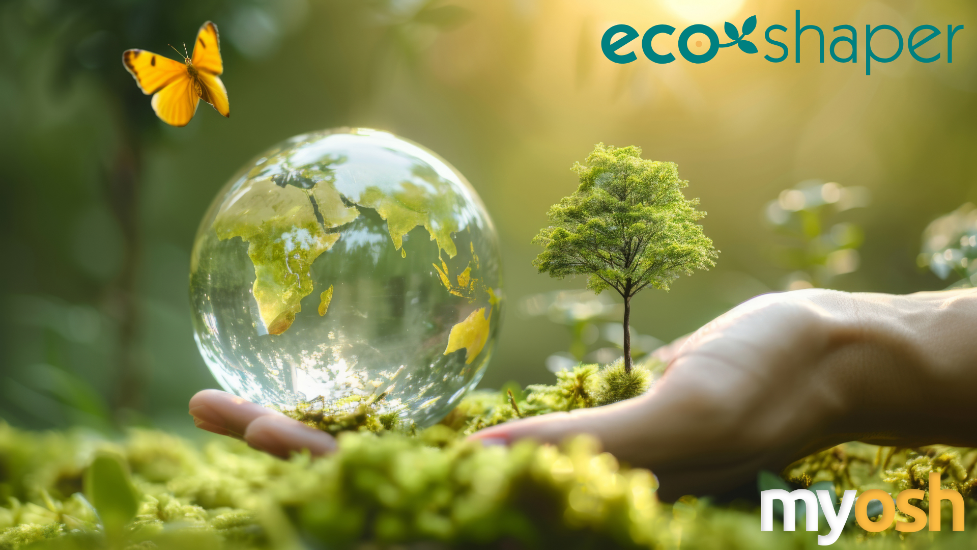 What if we managed environmental risk like we manage critical safety risks?