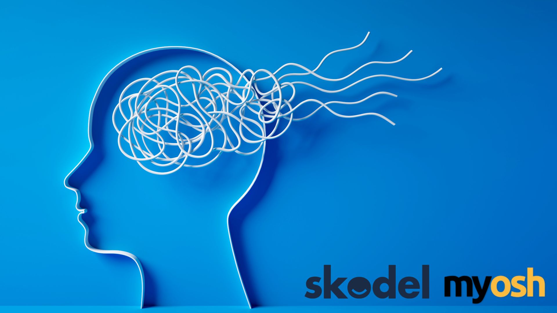 The Fundamentals: Psychosocial Hazards in the Workplace with Skodel