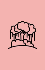  Book a South America trip for $0