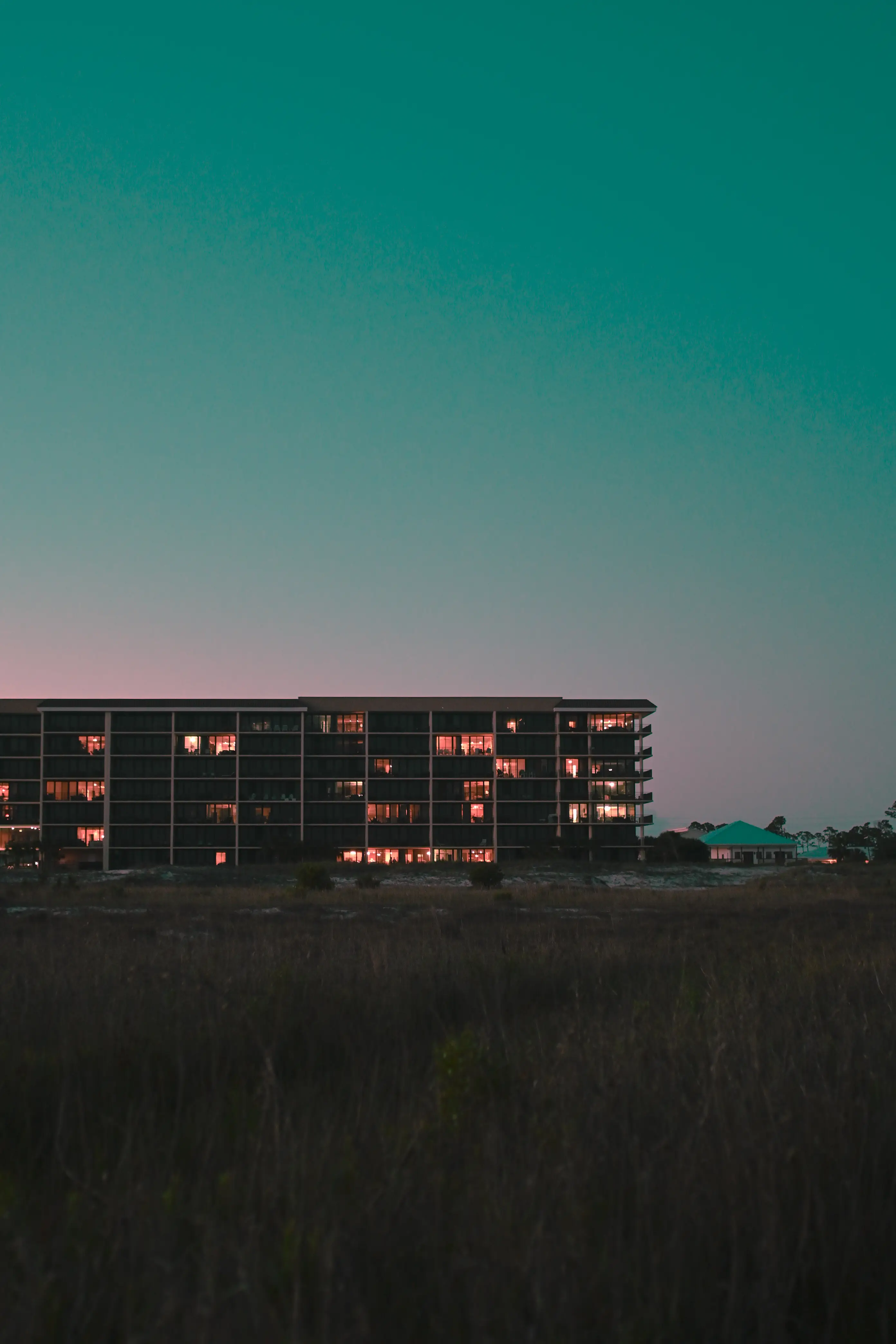 night drives//