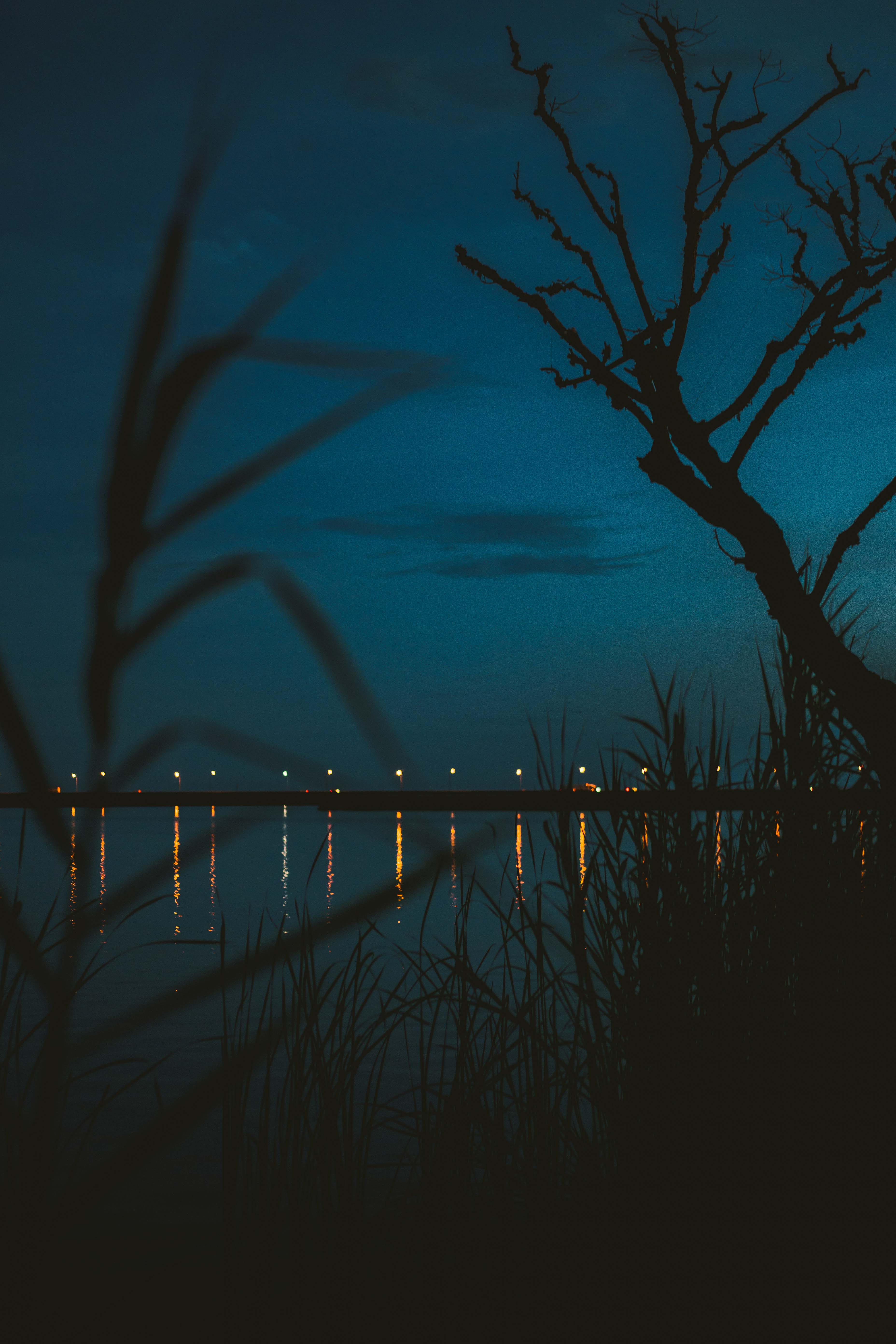 city limits//