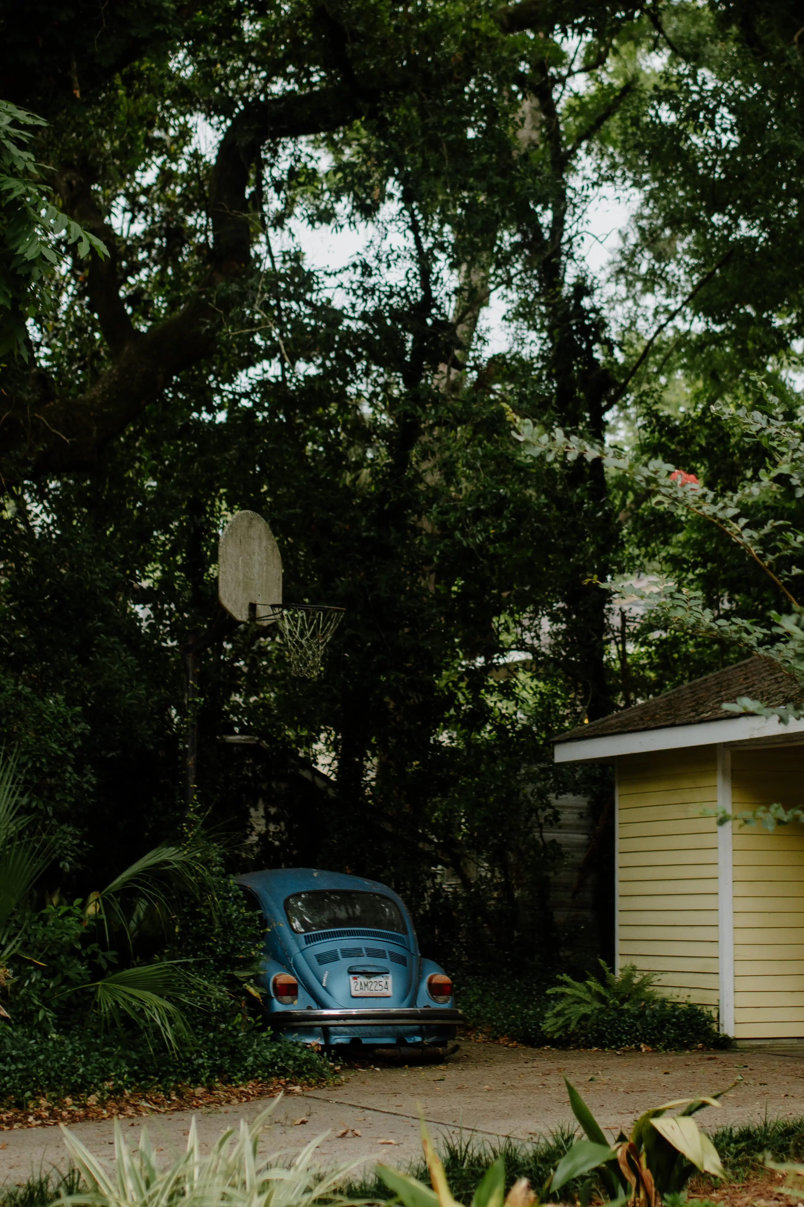 overgrowth//