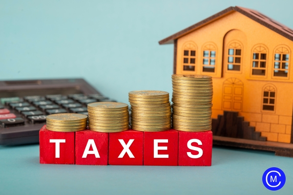 house with back taxes