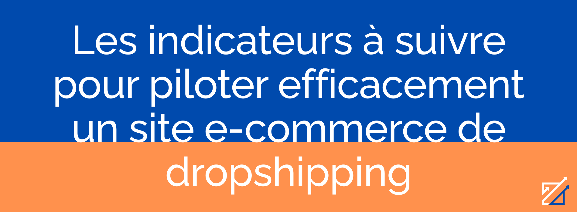 Les indicateurs à suivre pour piloter efficacement un site e-commerce de dropshipping