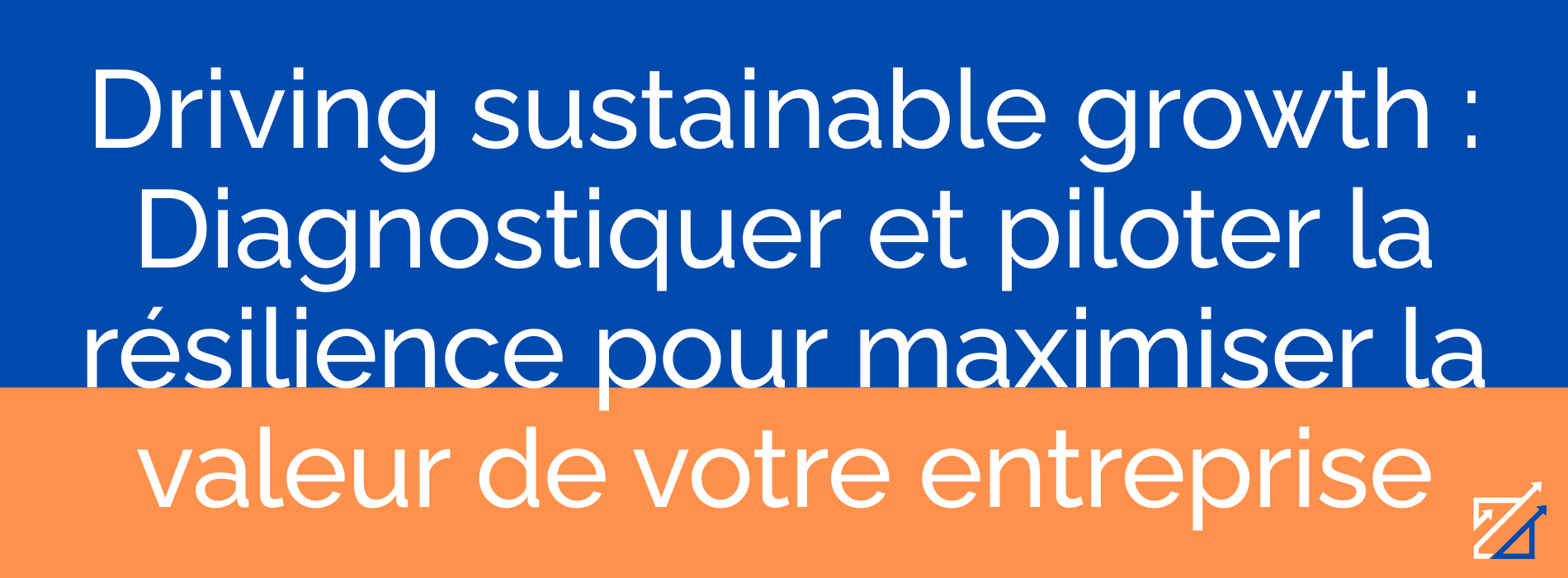 Driving sustainable growth : Diagnostiquer et piloter la résilience pour maximiser la valeur de votre entreprise