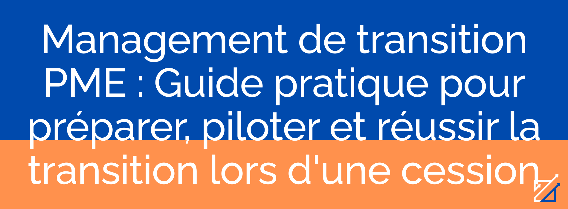 Management de transition PME : Guide pratique pour préparer, piloter et réussir la transition lors d'une cession