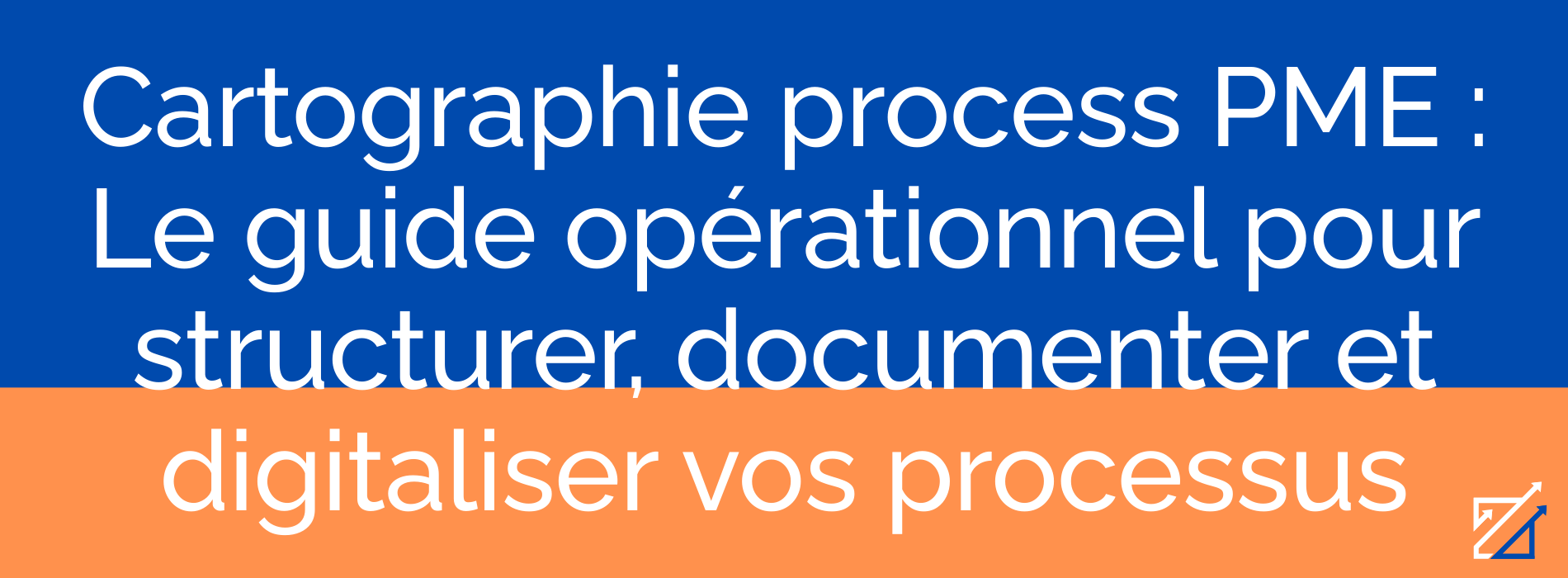 Cartographie process PME : Le guide opérationnel pour structurer, documenter et digitaliser vos processus