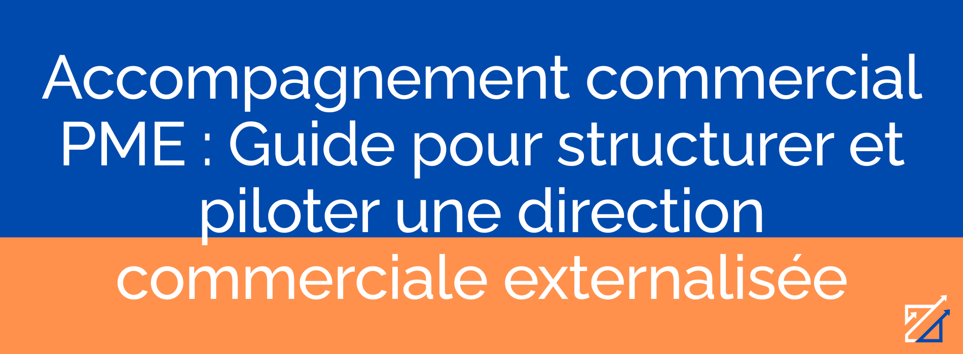Accompagnement commercial PME : Guide pour structurer et piloter une direction commerciale externalisée