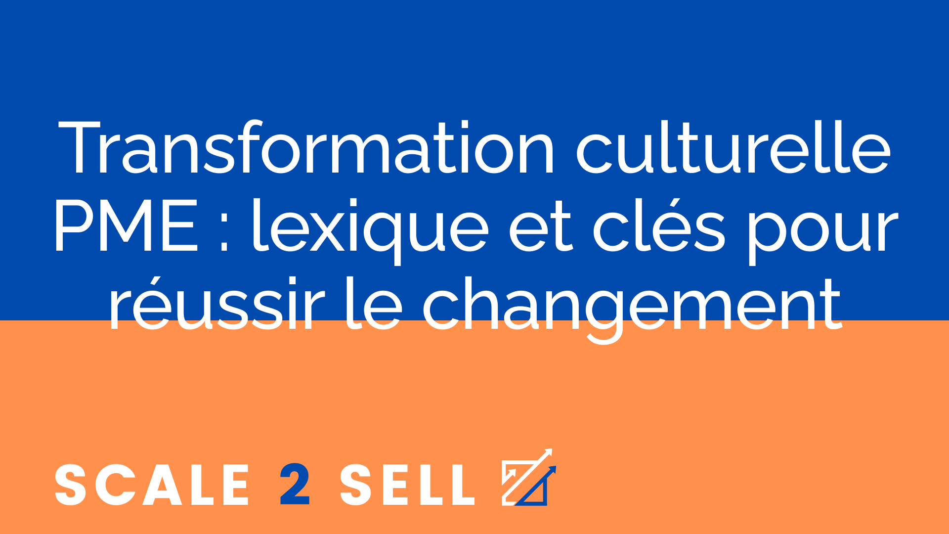 Transformation culturelle PME : lexique et clés pour réussir le changement