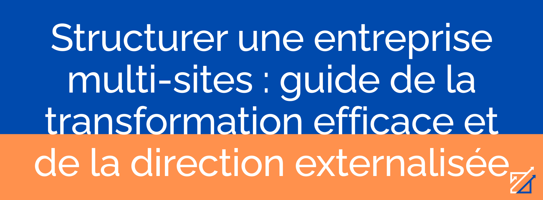 Structurer une entreprise multi-sites : guide de la transformation efficace et de la direction externalisée