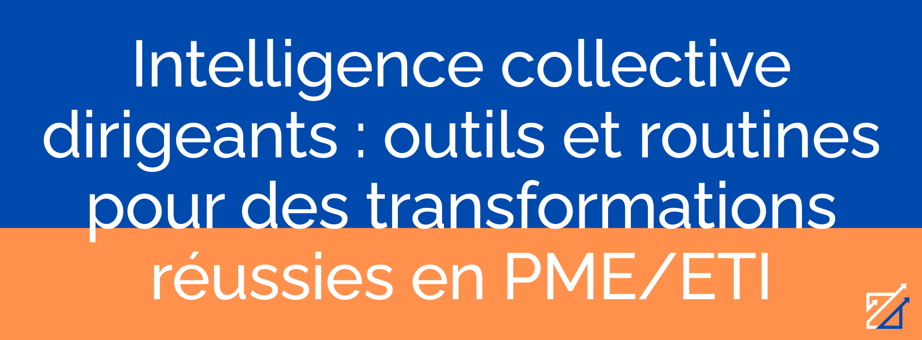 Intelligence collective dirigeants : outils et routines pour des transformations réussies en PME/ETI