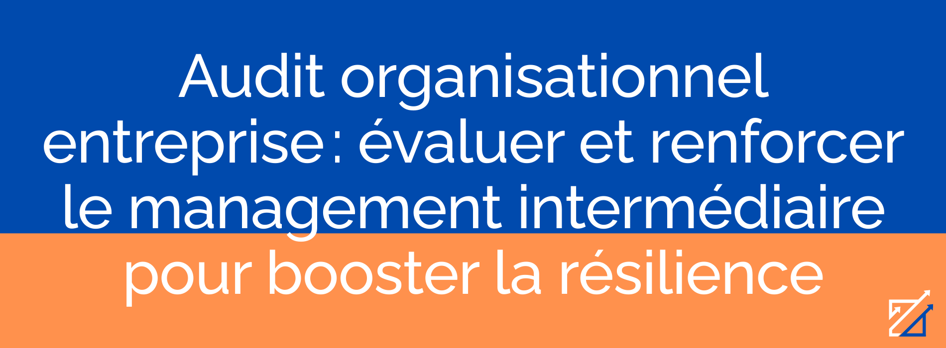Audit organisationnel entreprise : évaluer et renforcer le management intermédiaire pour booster la résilience