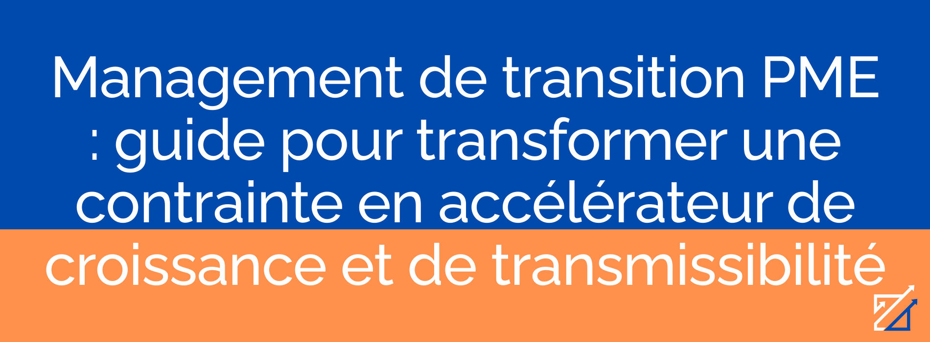 Management de transition PME : guide pour transformer une contrainte en accélérateur de croissance et de transmissibilité