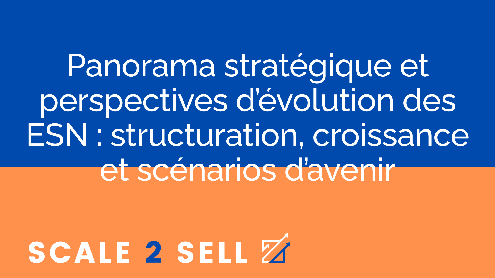 Panorama stratégique et perspectives d’évolution des ESN : structuration, croissance et scénarios d’avenir