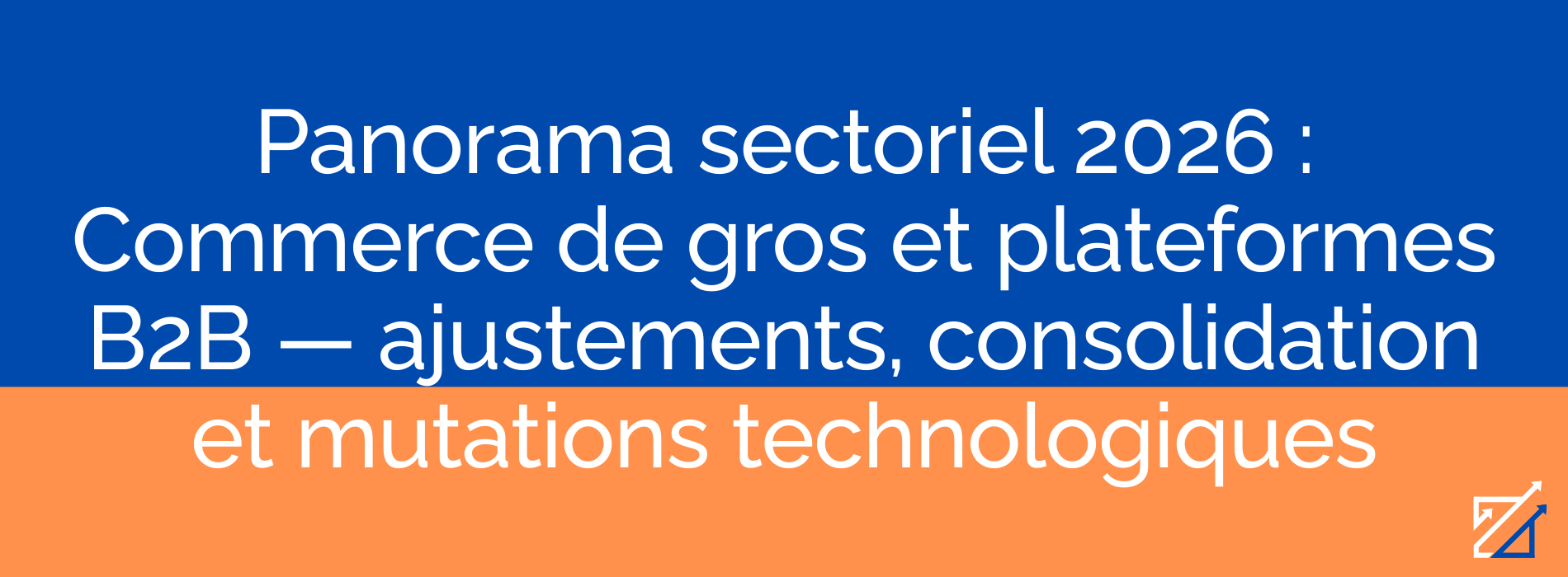 Panorama sectoriel 2026 : Commerce de gros et plateformes B2B — ajustements, consolidation et mutations technologiques