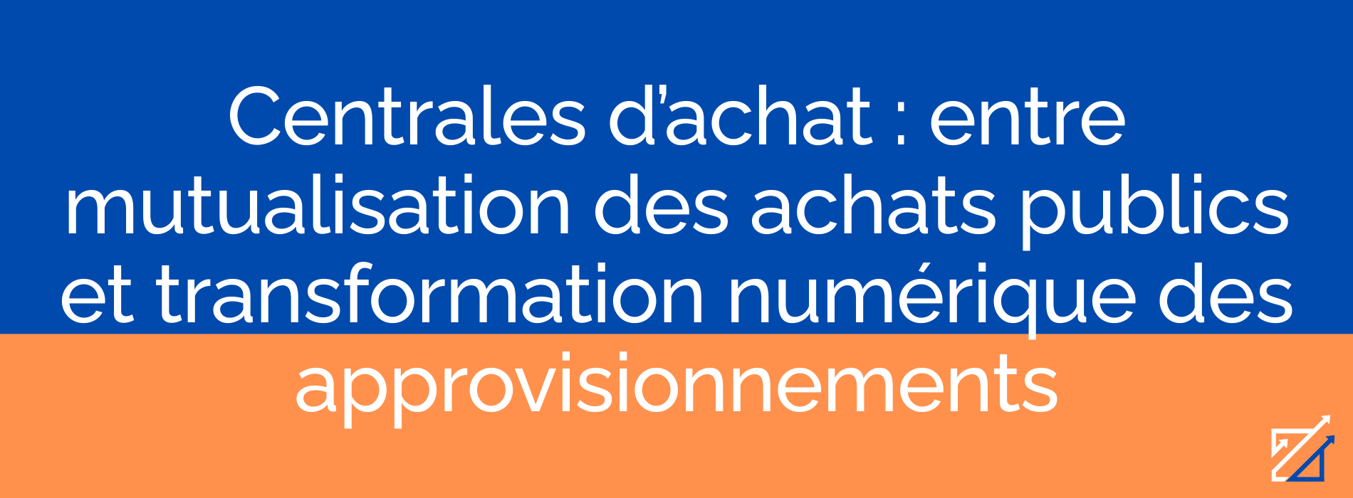 Centrales d’achat : entre mutualisation des achats publics et transformation numérique des approvisionnements