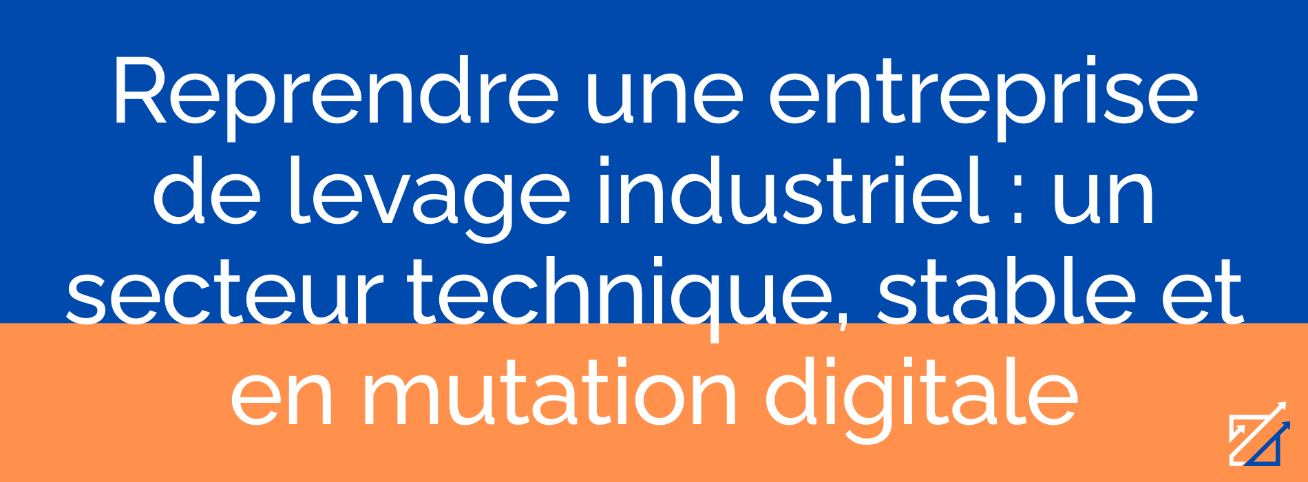 Reprendre une entreprise de levage industriel : un secteur technique, stable et en mutation digitale