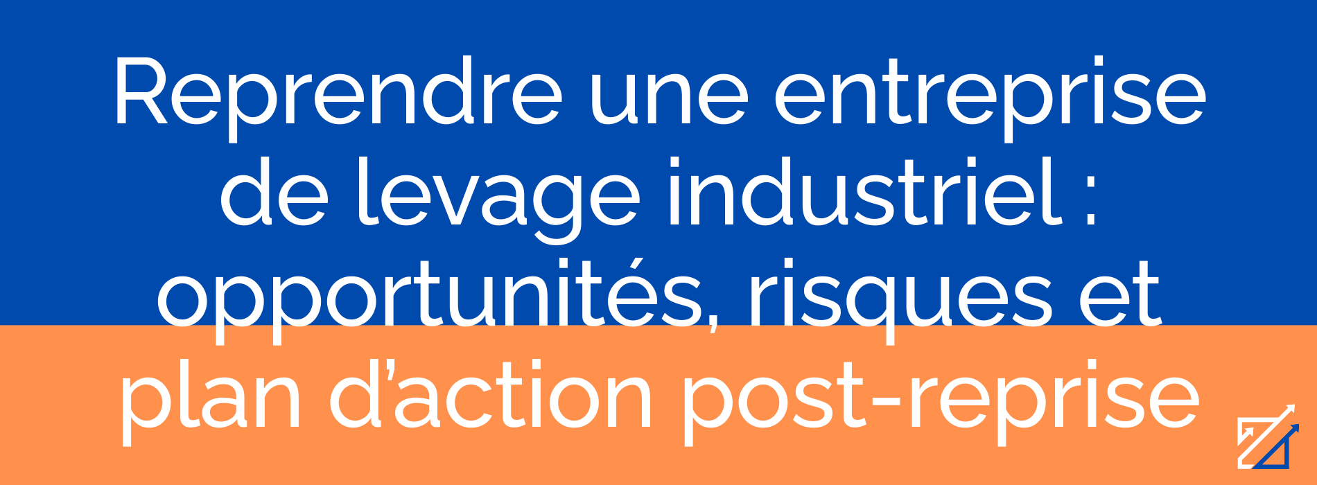 Reprendre une entreprise de levage industriel : opportunités, risques et plan d’action post-reprise
