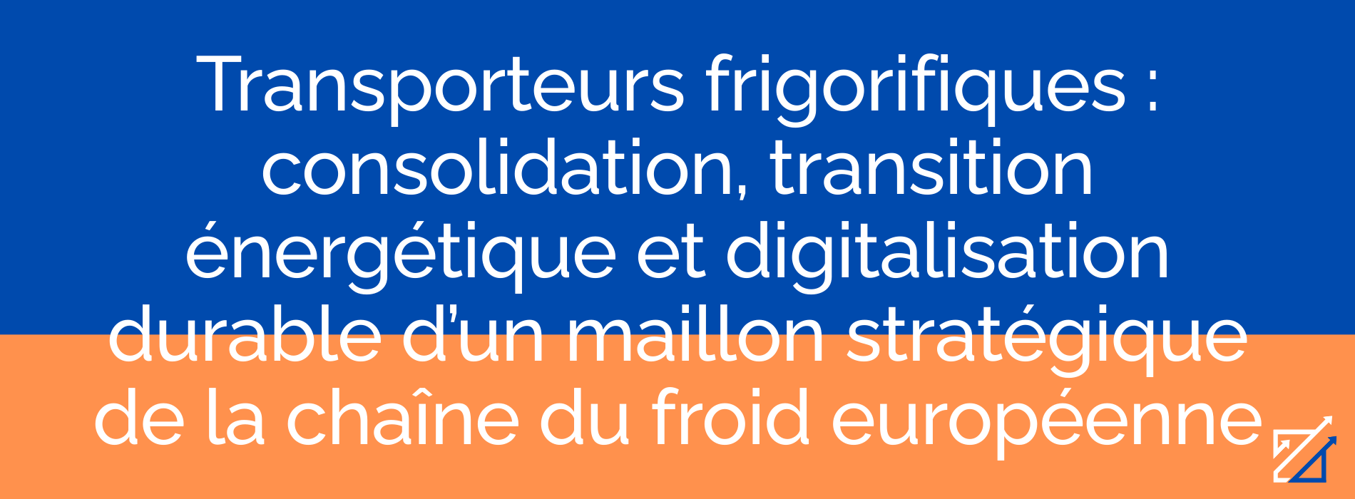 Transporteurs frigorifiques : consolidation, transition énergétique et digitalisation durable d’un maillon stratégique de la chaîne du froid européenne