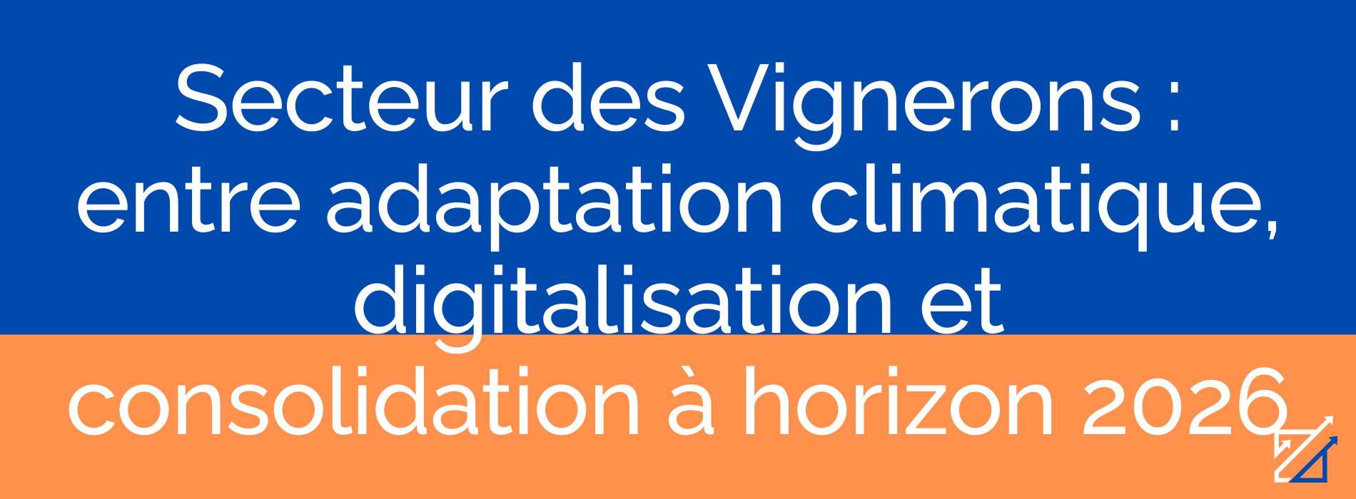 Secteur des Vignerons : entre adaptation climatique, digitalisation et consolidation à horizon 2026