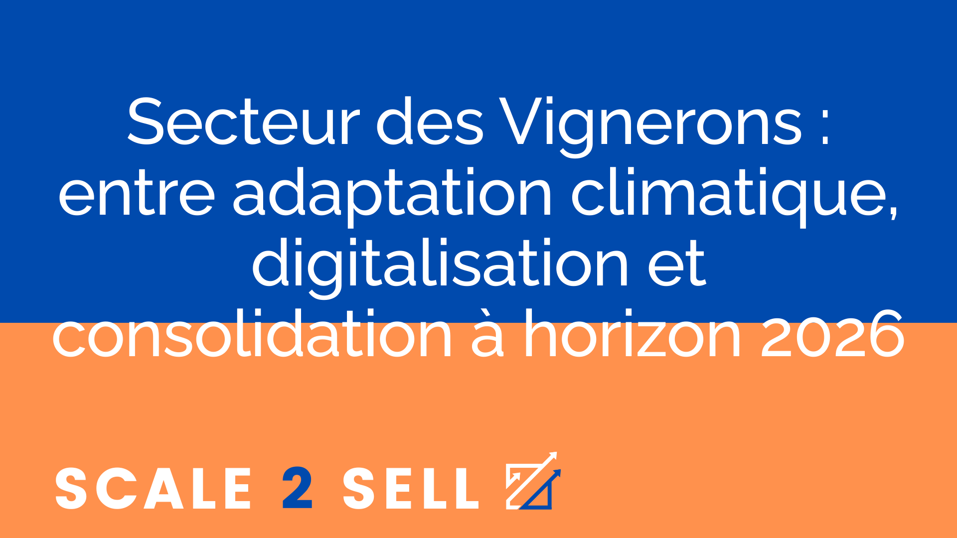 Secteur des Vignerons : entre adaptation climatique, digitalisation et consolidation à horizon 2026