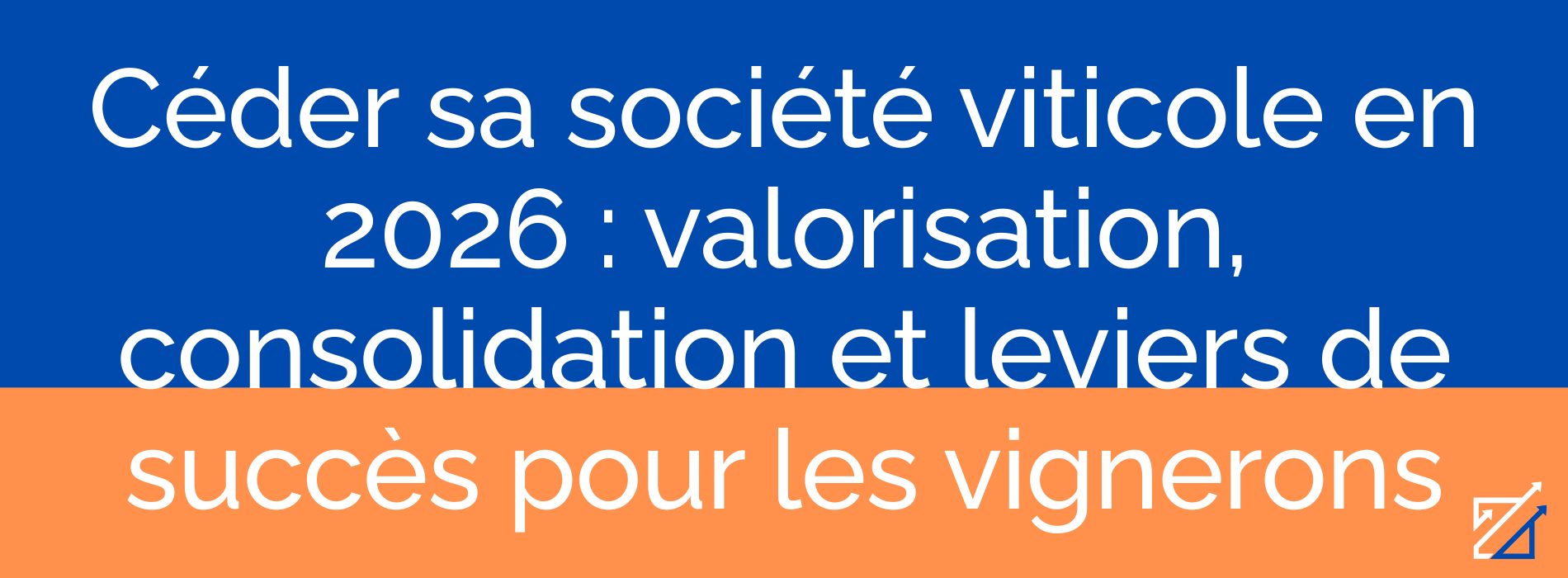 Céder sa société viticole en 2026 : valorisation, consolidation et leviers de succès pour les vignerons