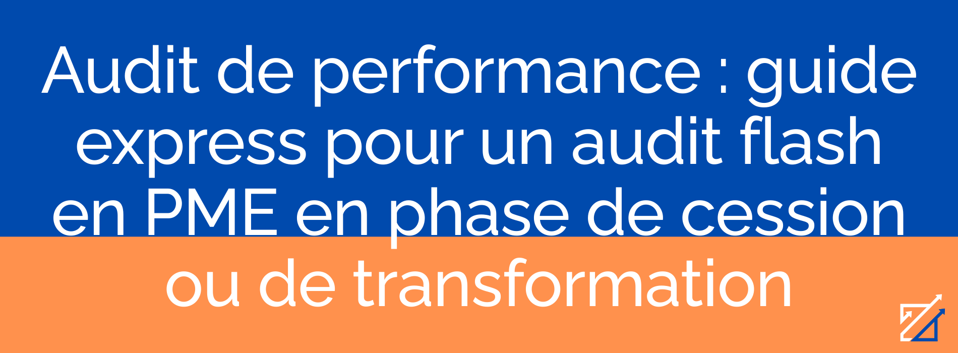 Audit de performance : guide express pour un audit flash en PME en phase de cession ou de transformation