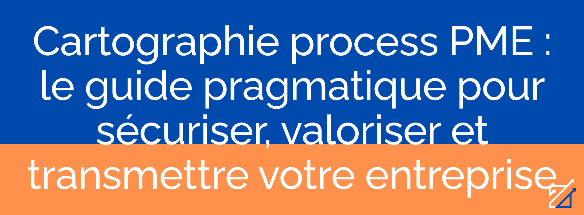 Cartographie process PME : le guide pragmatique pour sécuriser, valoriser et transmettre votre entreprise