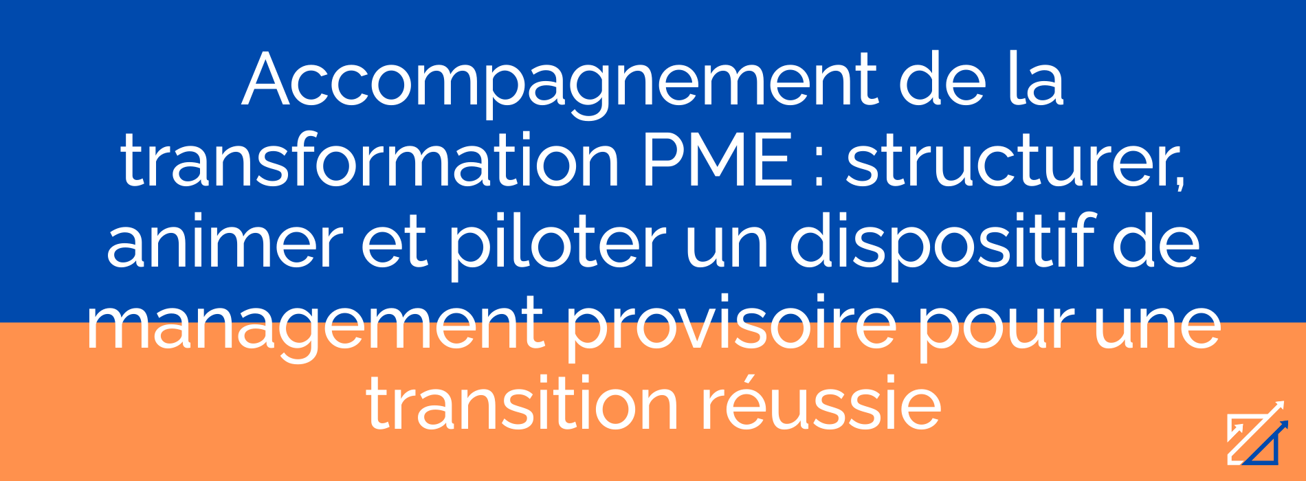 Accompagnement de la transformation PME : structurer, animer et piloter un dispositif de management provisoire pour une transition réussie