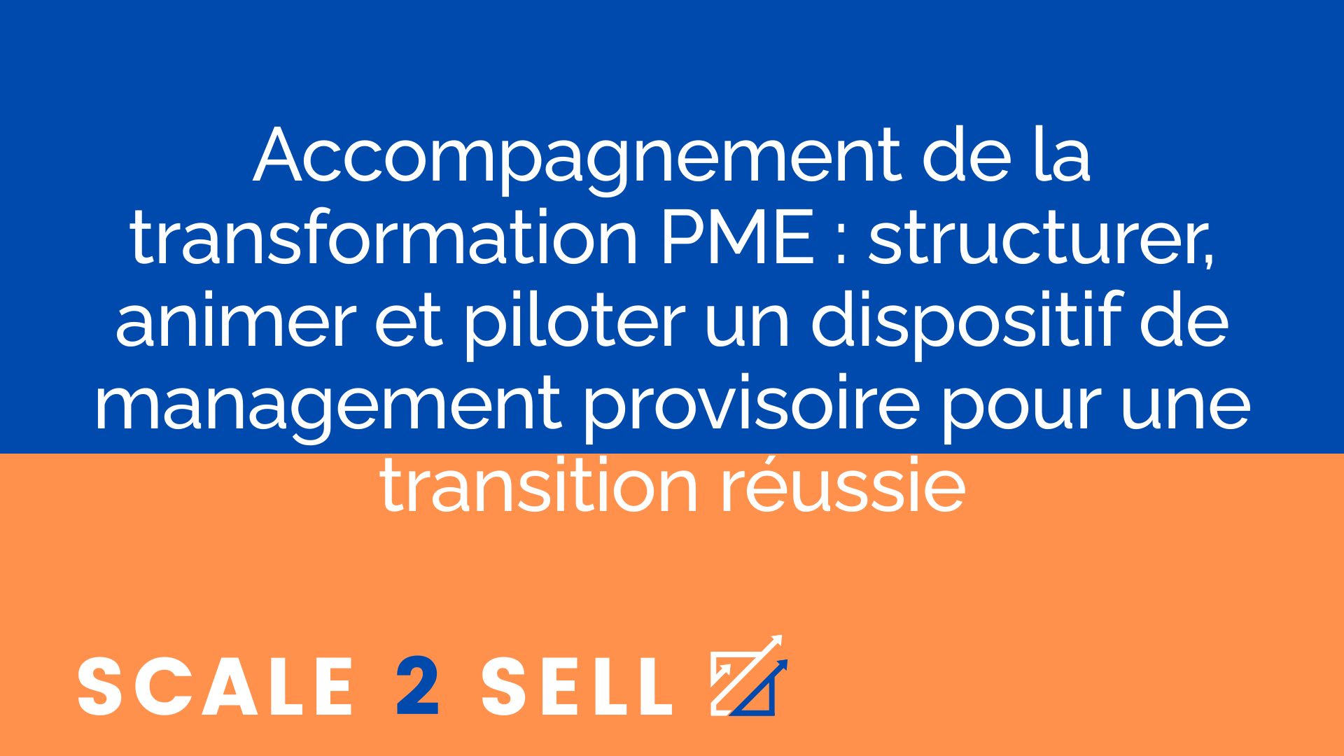 Accompagnement de la transformation PME : structurer, animer et piloter un dispositif de management provisoire pour une transition réussie