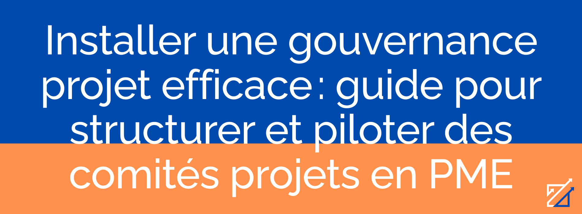 Installer une gouvernance projet efficace : guide pour structurer et piloter des comités projets en PME