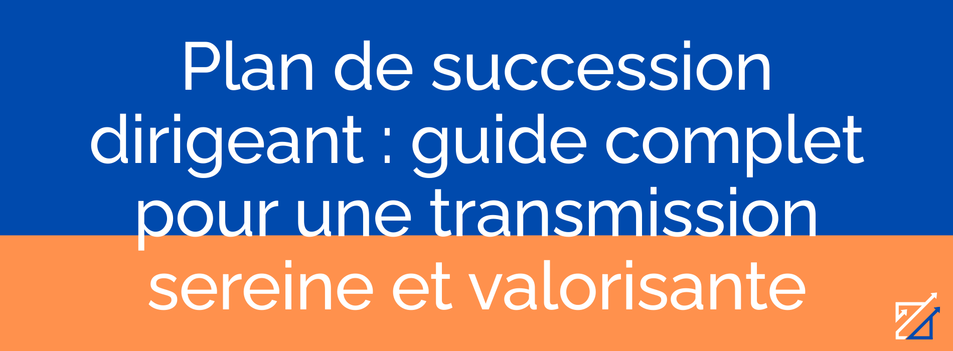 Plan de succession dirigeant : guide complet pour une transmission sereine et valorisante