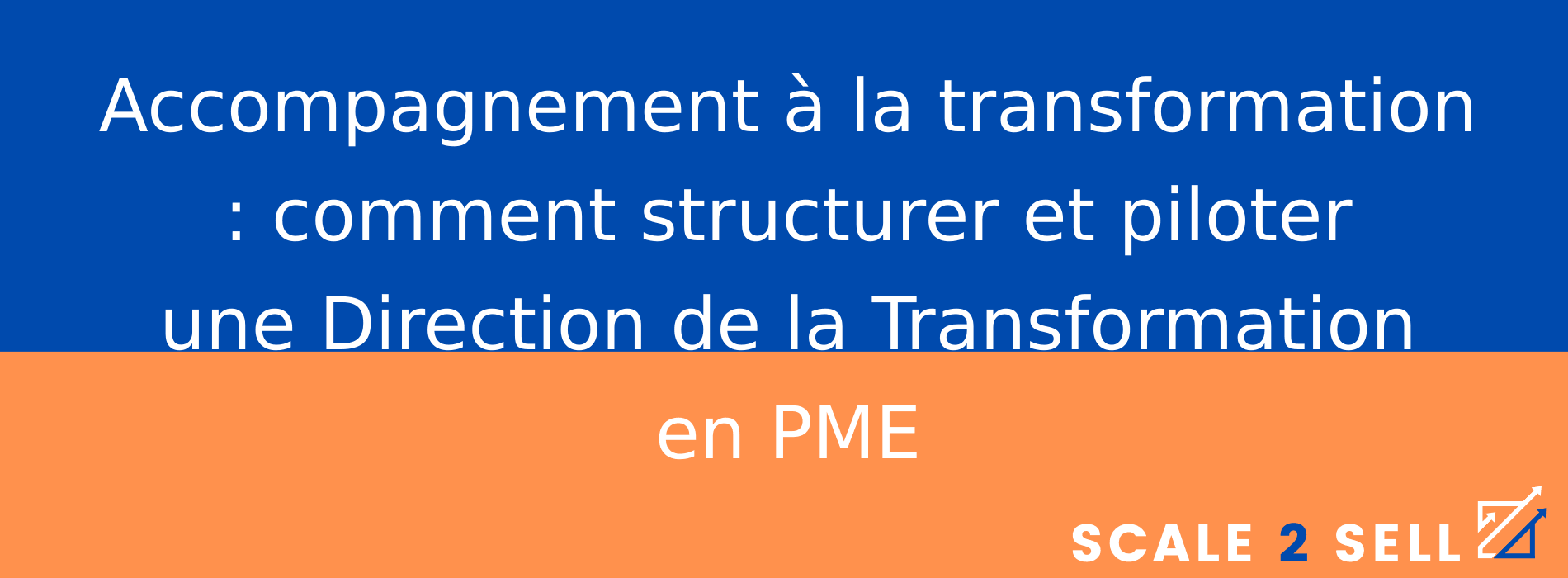 Accompagnement à la transformation : comment structurer et piloter une Direction de la Transformation en PME