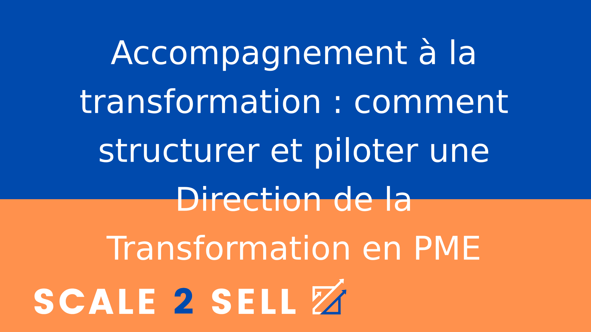 Accompagnement à la transformation : comment structurer et piloter une Direction de la Transformation en PME