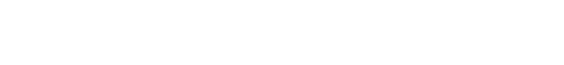 alt fi logo