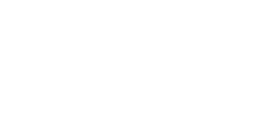 alt fi logo