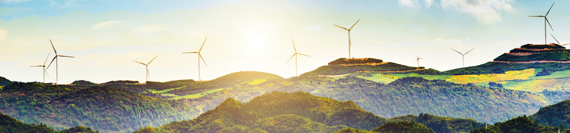 Sustainability and ESG