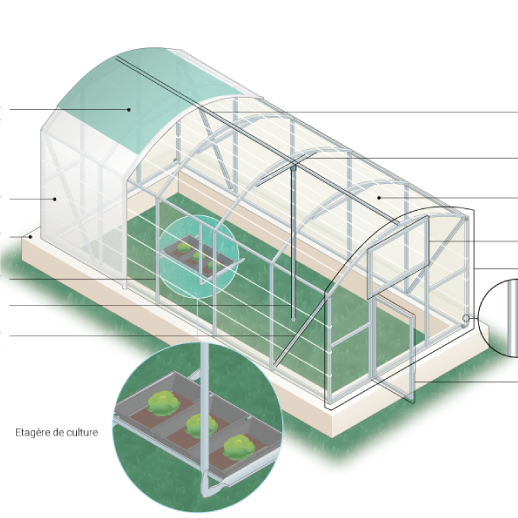 Illustrations barnum