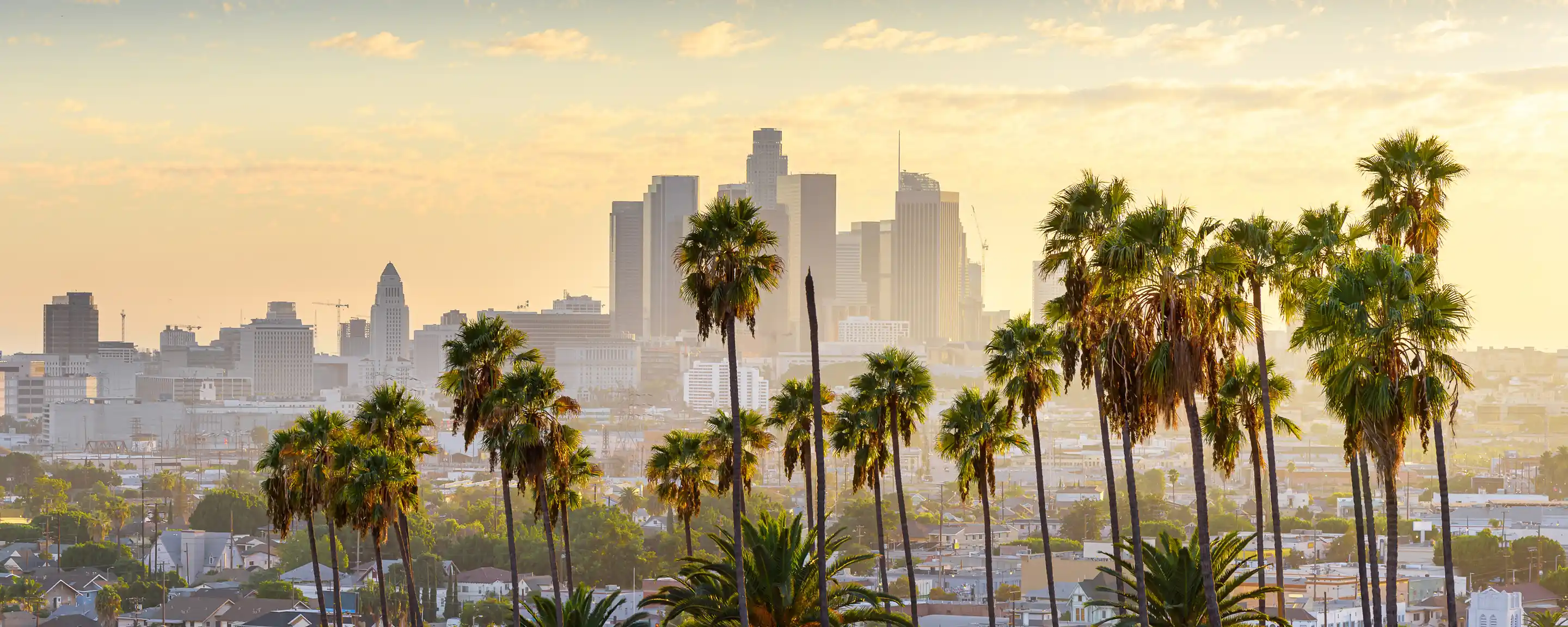 Los Angeles Downtown image