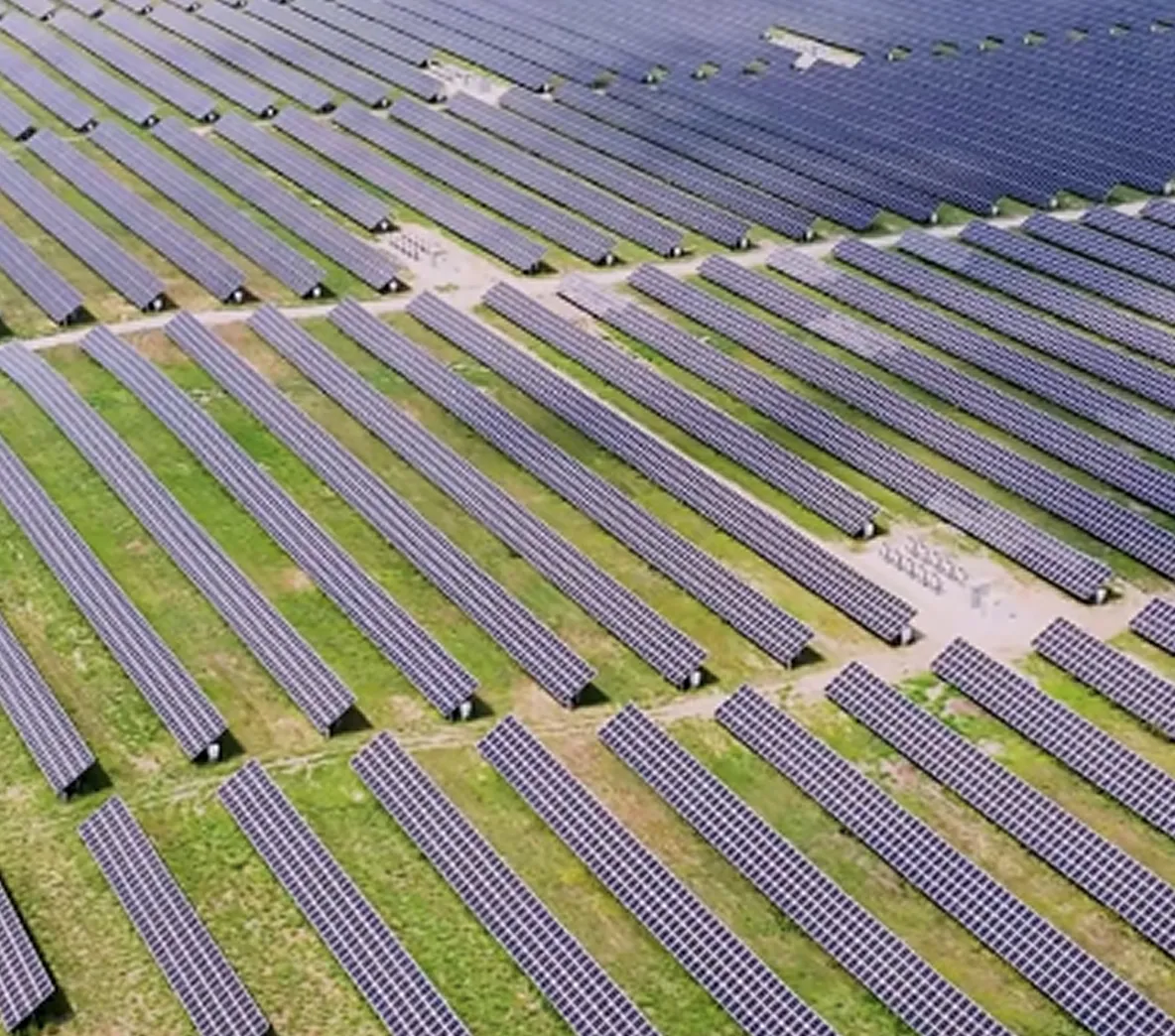 Large array of solar panels installed on a ground.