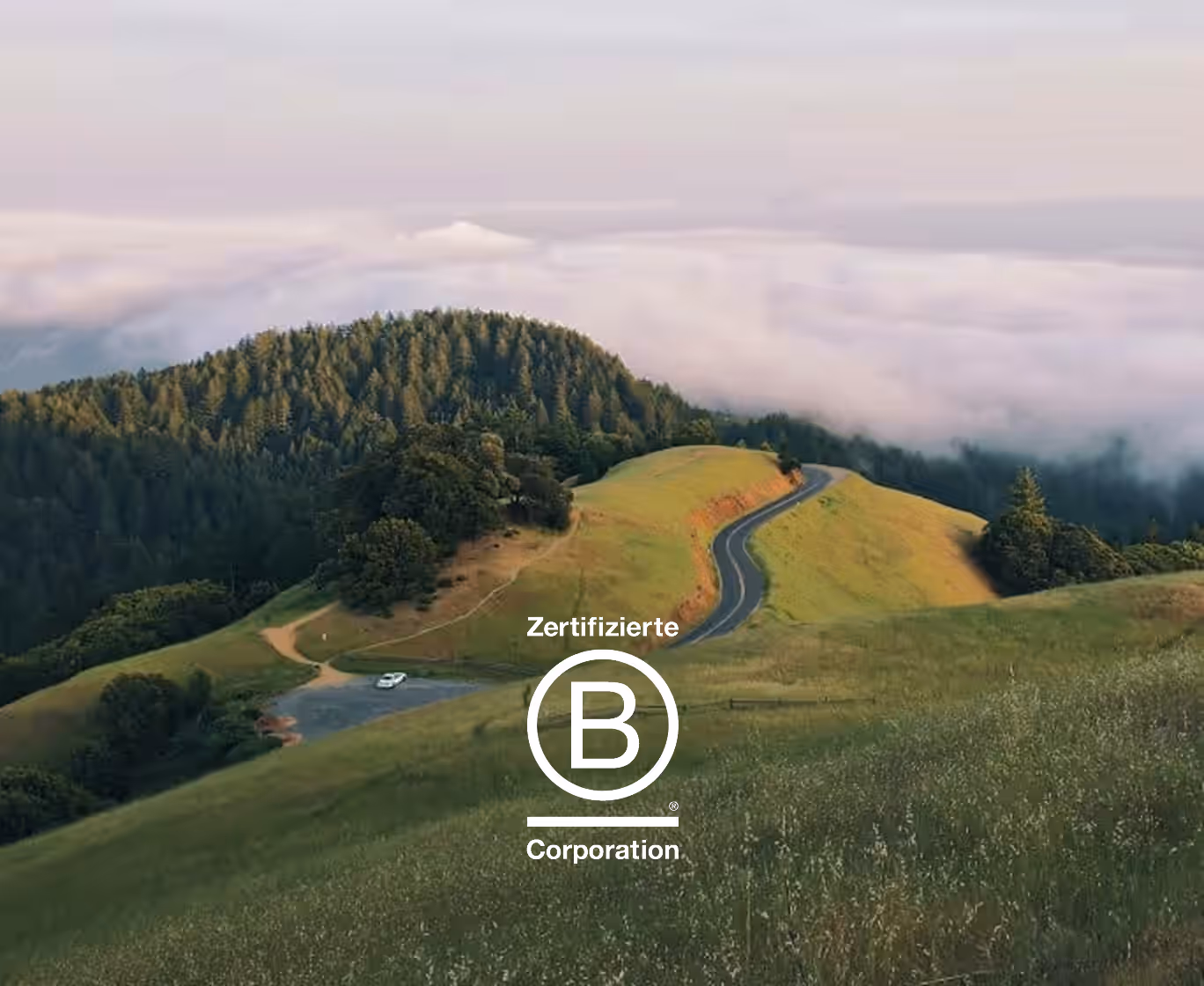 Grüne Hügellandschaft mit kurviger Straße und B-Corp-Logo