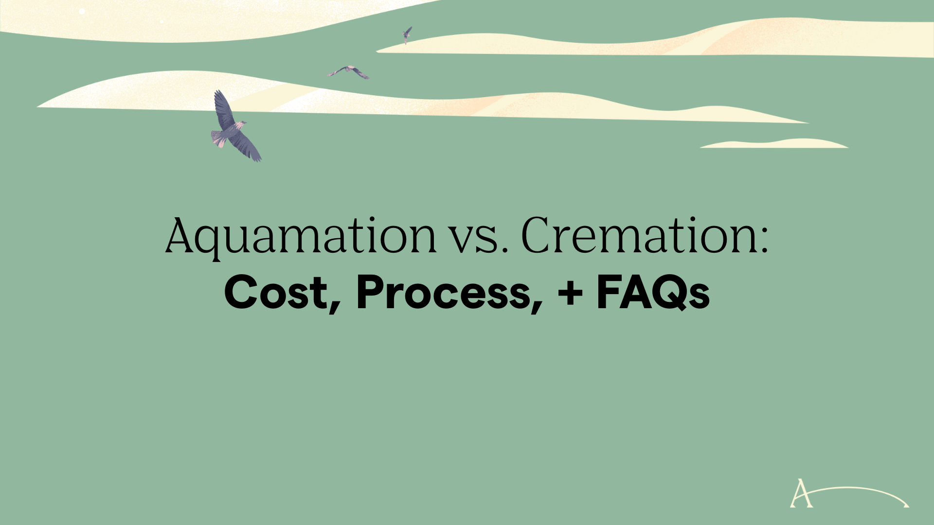 Aquamation vs. Cremation: Cost, Process, + FAQs