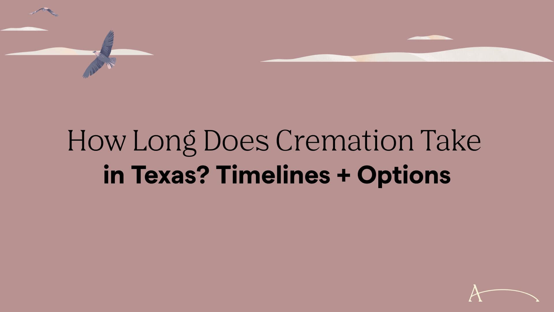 How Long Does Cremation Take in Texas? Timelines + Options