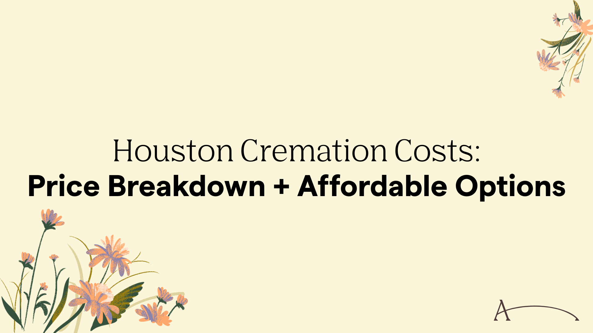 Houston Cremation Costs: Price Breakdown + Affordable Options