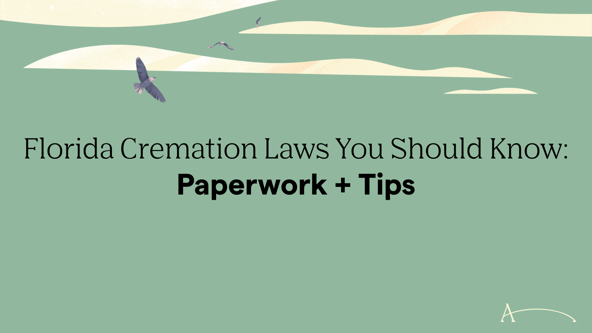 Florida Cremation Laws You Should Know: Paperwork + Tips